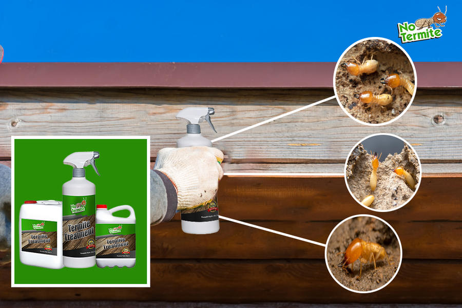 Explorez le monde des innovations anti-termites