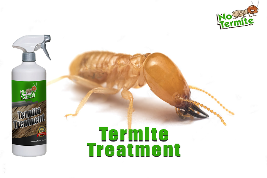 L’importance des stratégies anti-termites