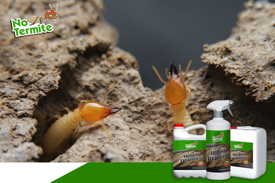 Quels sont les éléments clés d'une défense anti-termites efficace ?