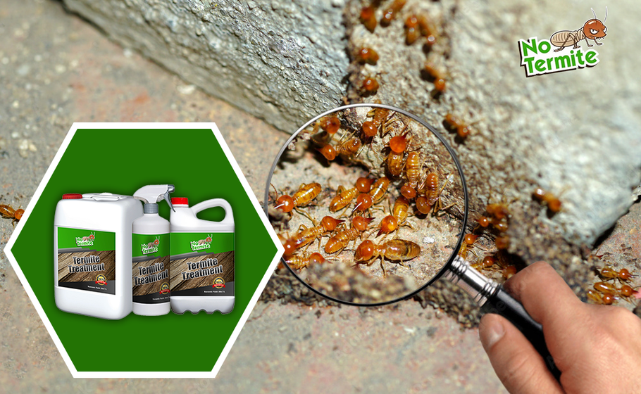 Est-ce que l'anti-termite est efficaces ?